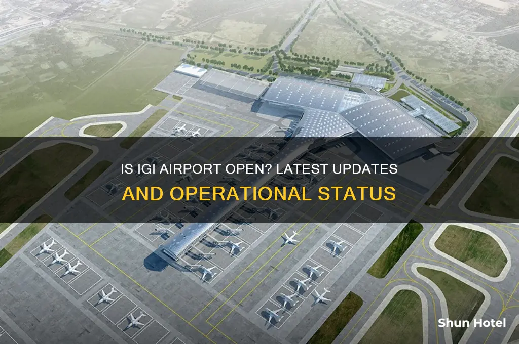 is igi airport open
