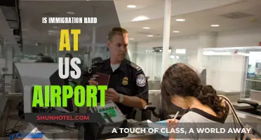 US Airports: Navigating Immigration Challenges