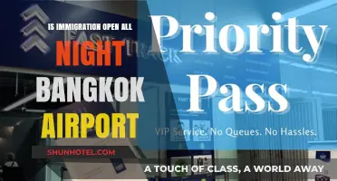 Is Bangkok Airport's Immigration Open 24/7? A Traveler's Guide