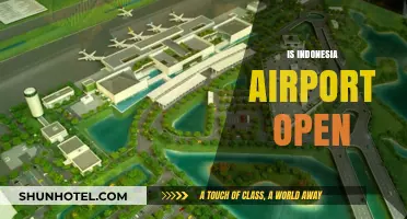 Is Indonesia Airport Open? Latest Updates on Travel Restrictions