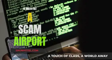 Insta File: Scam or Airport Security Essential?