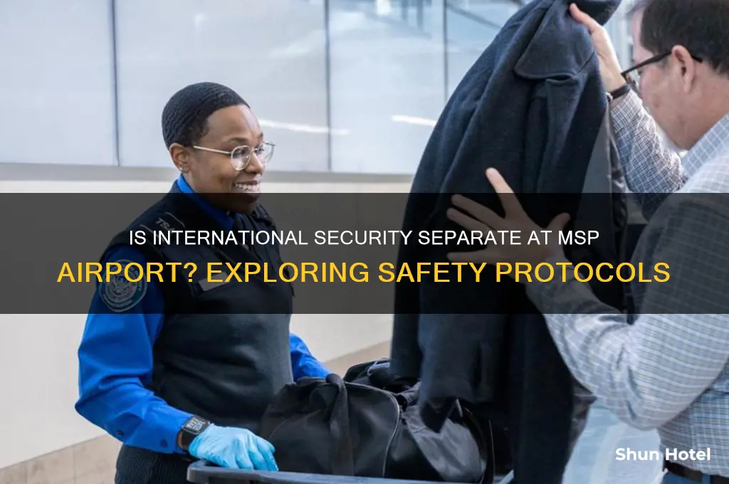 is international secutity seperate msp airport