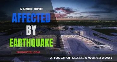 Istanbul Airport's Resilience Against Earthquakes: Impact Analysis