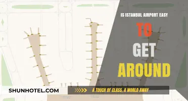 Navigating Istanbul Airport: A Traveler's Guide to Easy Movement