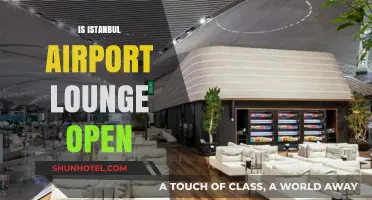 Is Istanbul Airport Lounge Open? Your Ultimate Guide to Access and Amenities