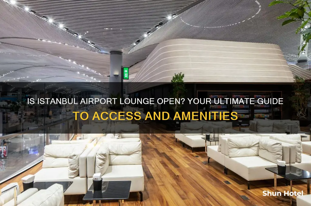 is istanbul airport lounge open