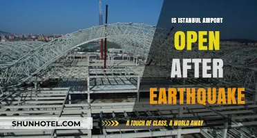 Istanbul Airport Operational Status Post-Earthquake: What Travelers Need to Know