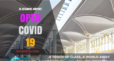 Istanbul Airport COVID-19 Update: Current Status and Travel Guidelines