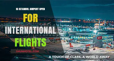 Istanbul Airport: International Flights Operational and Ready for Travel