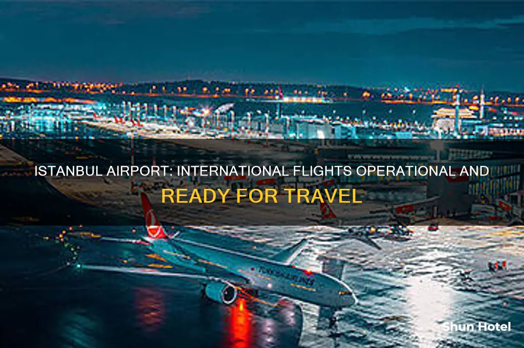 is istanbul airport open for international flights