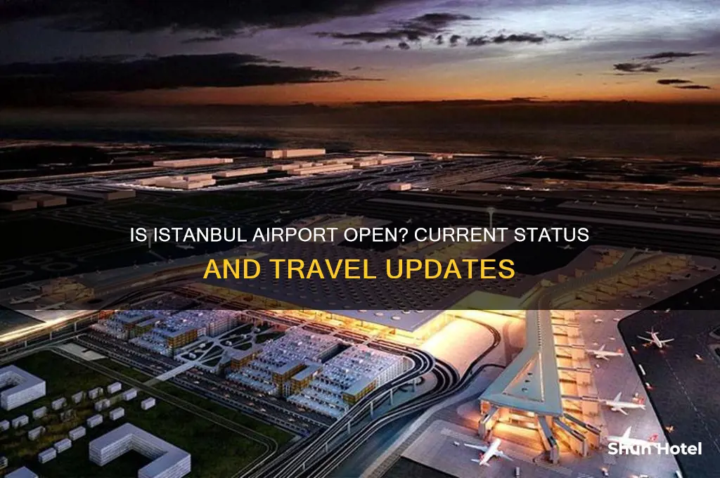 is istanbul airport open