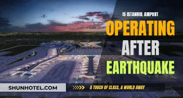 Istanbul Airport: Operational Post-Earthquake, Here's the Latest