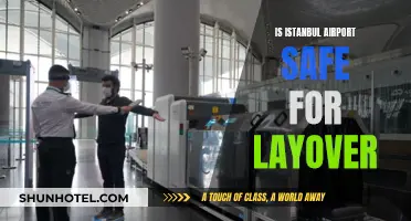Istanbul Airport Layover: Is It Safe?