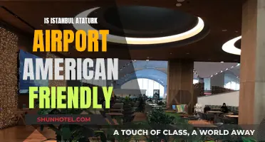 Istanbul Ataturk Airport: American-Friendly or Not?