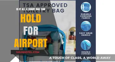 Quart Bag: Airport Essentials and Nothing More