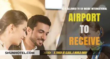Can You Enter International Airports for Passenger Reception? Rules Explained