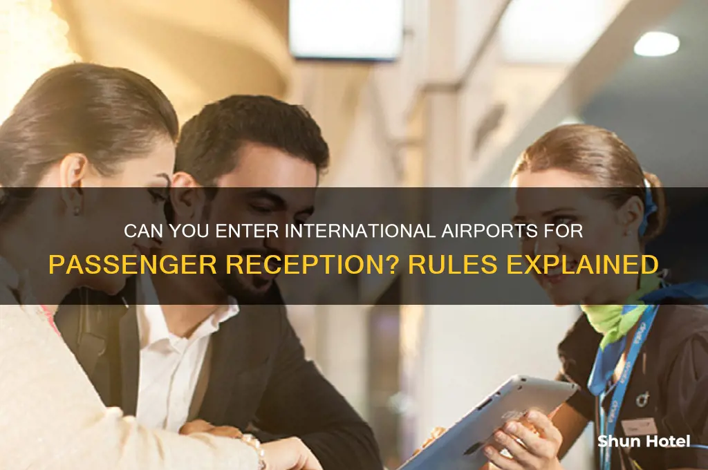 is it allowed to go inside international airport to receive