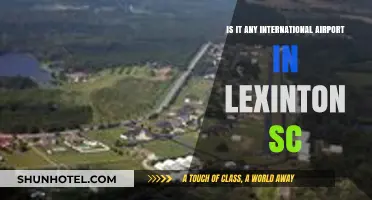 Exploring Lexington, SC: Does It Have an International Airport?