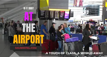 Airport Crowds: Navigating the Rush