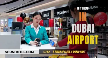 Dubai Airport: A Shopper's Paradise or Expensive Pitstop?