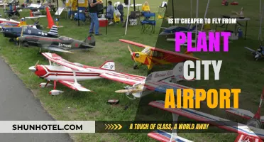 Is Plant City Airport the Cheaper Flight Option for Travelers?