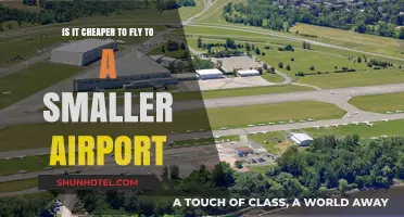 Smaller Airports vs. Major Hubs: Which Saves You More on Flights?