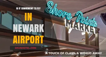 Flying from Newark Airport: Convenience or Chaos? A Traveler's Guide