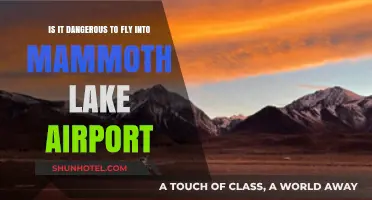 Flying into Mammoth Lakes Airport: Risks and Safety Concerns Explained
