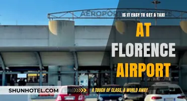 Getting a Taxi at Florence Airport: Easy or Challenging?
