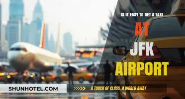Getting a Taxi at JFK Airport: Easy or Challenging?