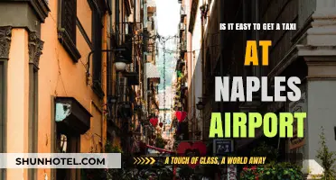 Getting a Taxi at Naples Airport: Easy or Challenging?