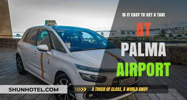 Getting a Taxi at Palma Airport: Easy or Challenging?