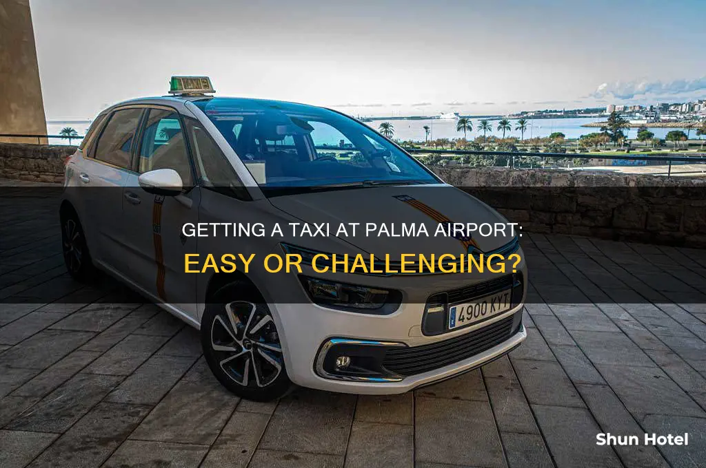is it easy to get a taxi at palma airport