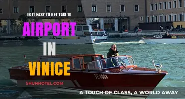 Getting a Taxi to Venice Airport: Easy or Challenging?