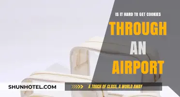 Navigating Airport Security: The Challenge of Bringing Cookies on Flights