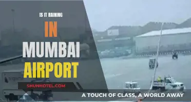Mumbai Airport: Rain Delays and Travel Disruptions