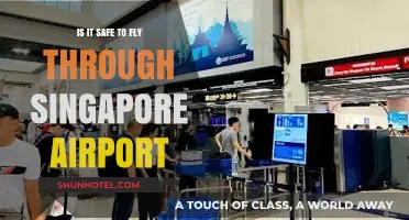 Flying Through Singapore Airport: Safety Measures and Travel Tips