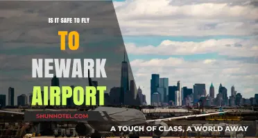 Flying to Newark Airport: Safety Concerns and Travel Tips