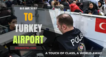 Is It Safe to Fly to Turkey? Airport Security Insights