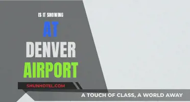 Winter Travel: Snow at Denver Airport, What to Expect?