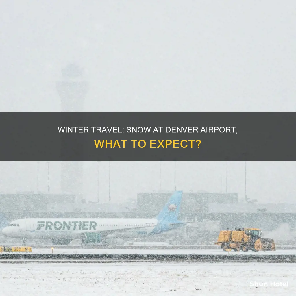 is it snowing at denver airport