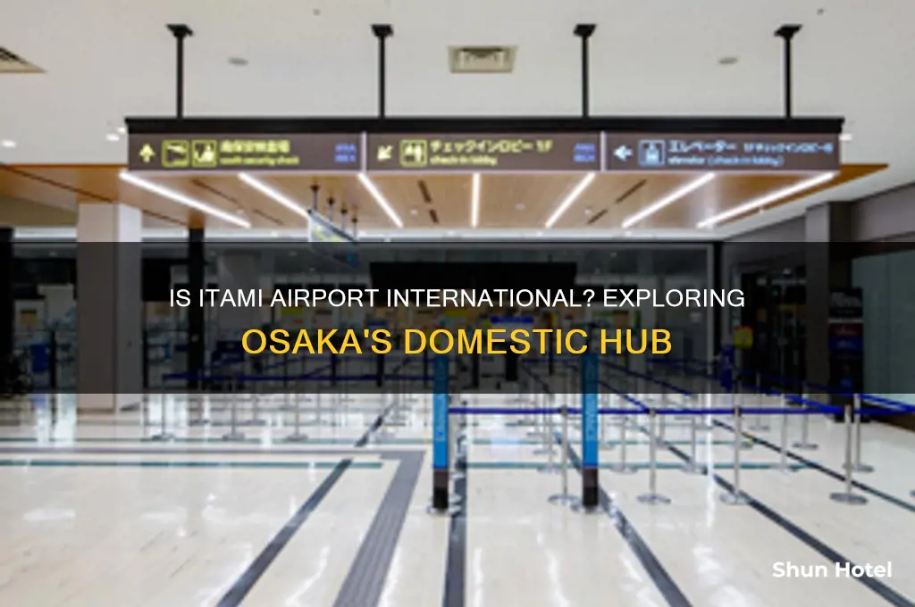 is itami airport international