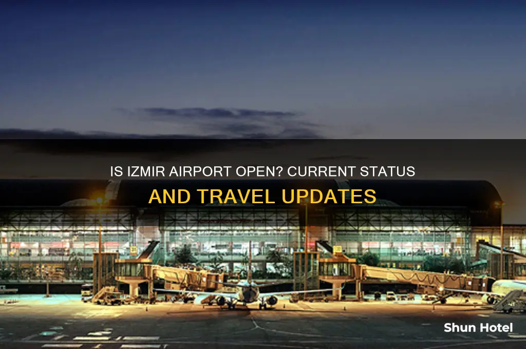 is izmir airport open