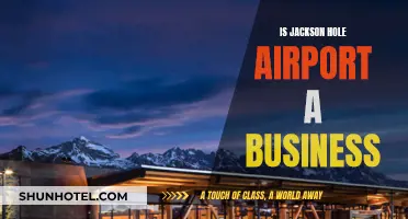 Jackson Hole Airport: A Business or Tourist Destination?
