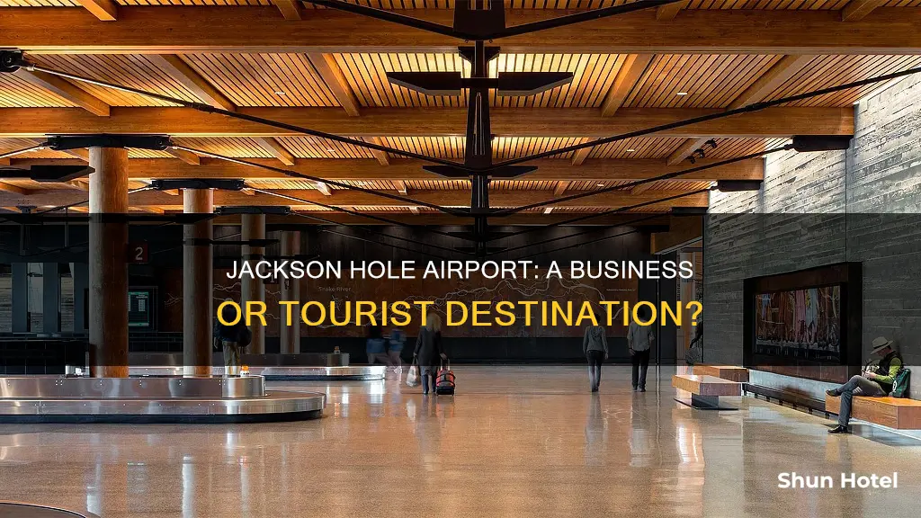 is jackson hole airport a business