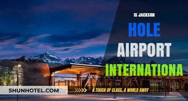 Is Jackson Hole Airport International? Exploring Its Status and Services