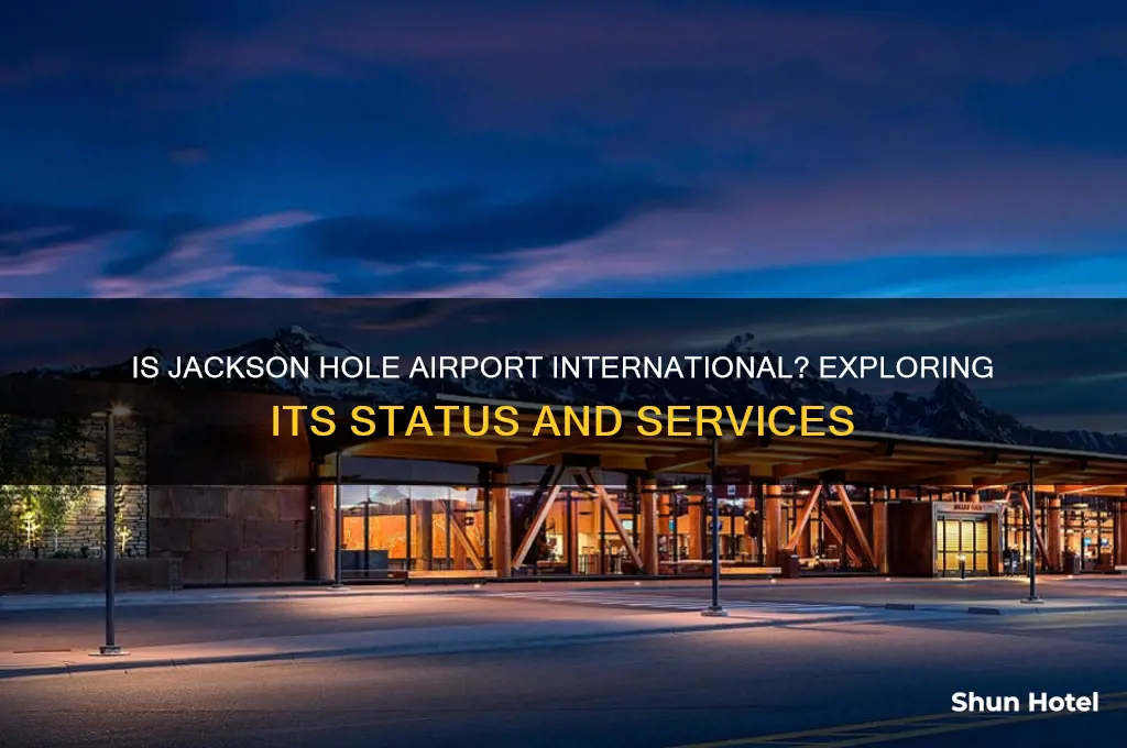 is jackson hole airport international