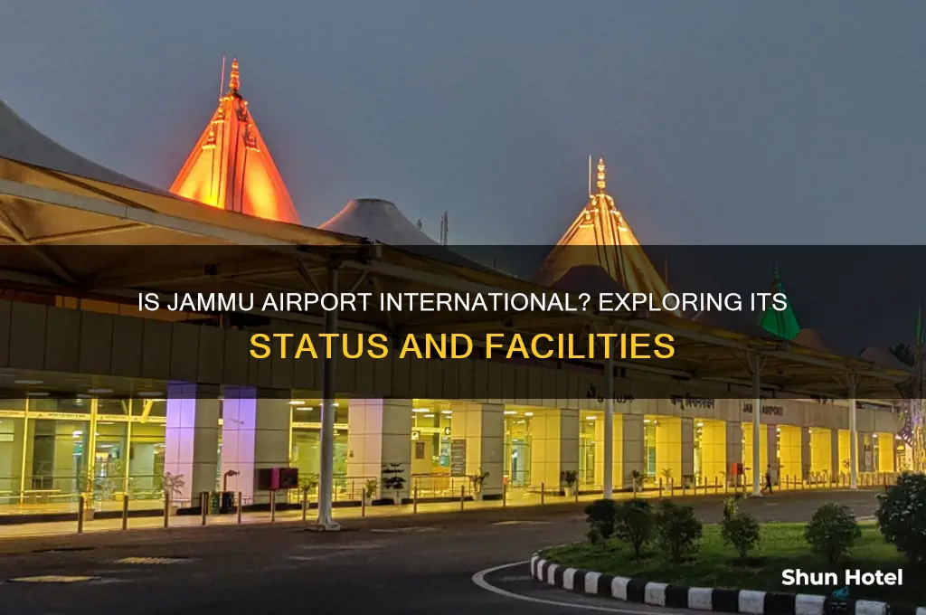 is jammu airport international