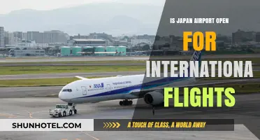 Is Japan Airport Open for International Flights? Latest Updates