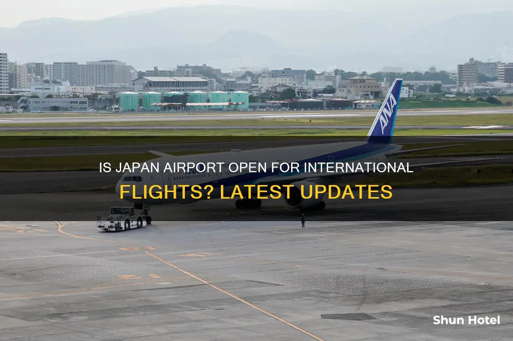 is japan airport open for international flights